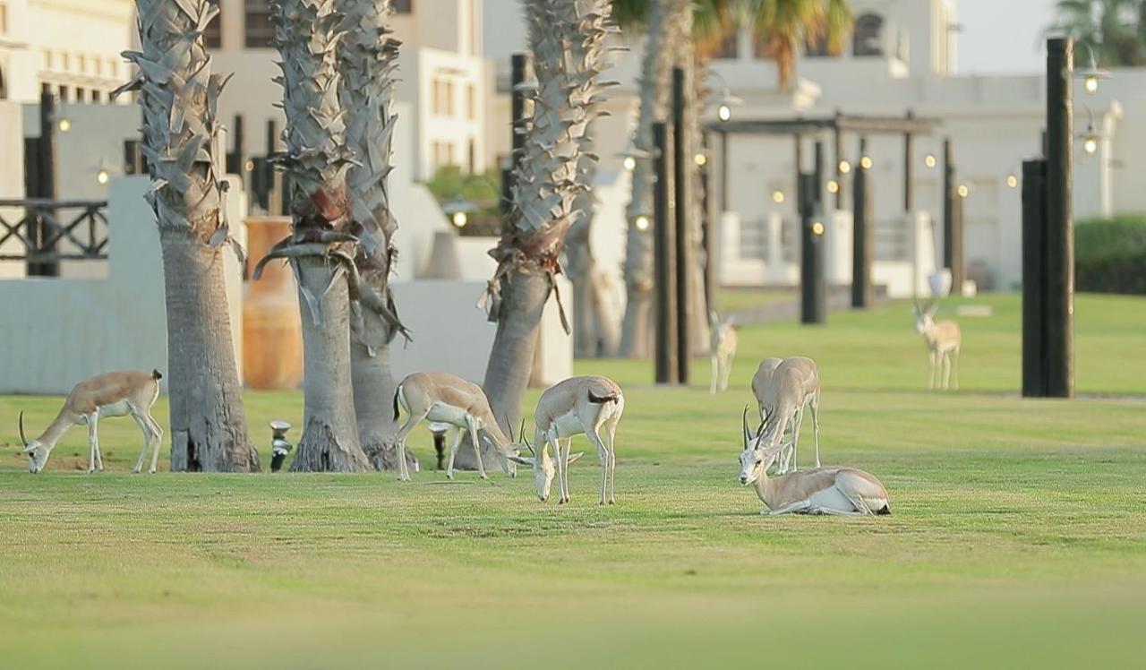 אבו דאבי Al Maya Island & Resort מראה חיצוני תמונה